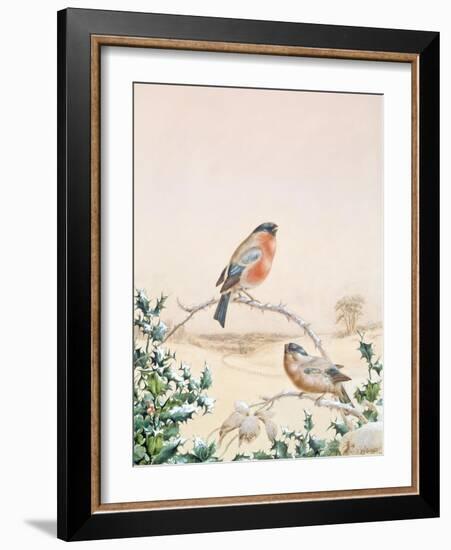 Winter Scene with Chaffinch and Holly-Henry Fuseli-Framed Giclee Print