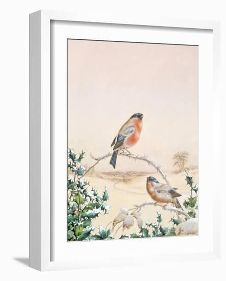Winter Scene with Chaffinch and Holly-Henry Fuseli-Framed Giclee Print