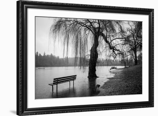 Winter Scene with Goose and Lake-Sharon Wish-Framed Photographic Print