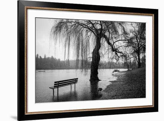 Winter Scene with Goose and Lake-Sharon Wish-Framed Photographic Print