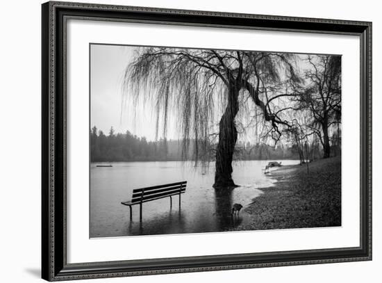 Winter Scene with Goose and Lake-Sharon Wish-Framed Photographic Print