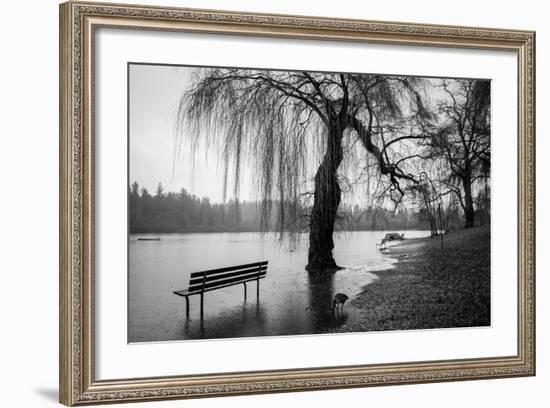 Winter Scene with Goose and Lake-Sharon Wish-Framed Photographic Print