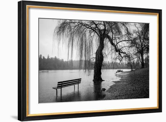 Winter Scene with Goose and Lake-Sharon Wish-Framed Photographic Print