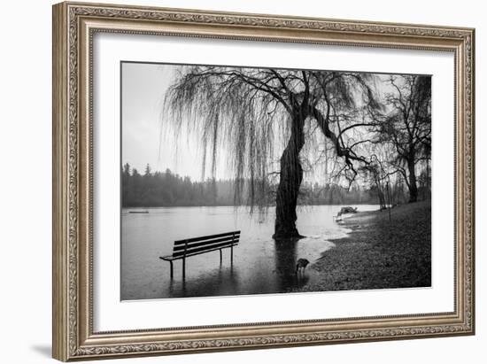 Winter Scene with Goose and Lake-Sharon Wish-Framed Photographic Print