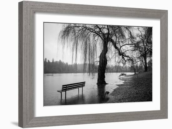 Winter Scene with Goose and Lake-Sharon Wish-Framed Photographic Print