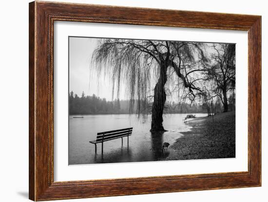 Winter Scene with Goose and Lake-Sharon Wish-Framed Photographic Print