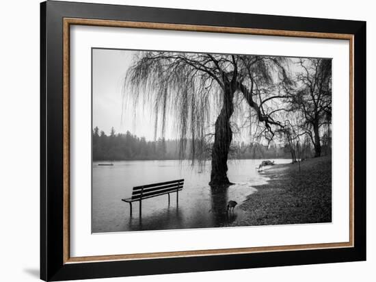 Winter Scene with Goose and Lake-Sharon Wish-Framed Photographic Print