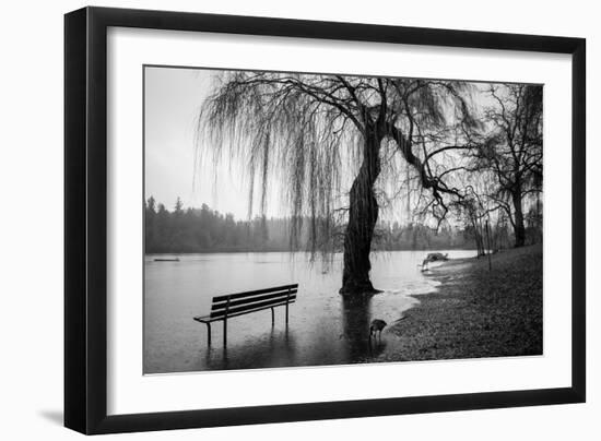 Winter Scene with Goose and Lake-Sharon Wish-Framed Photographic Print