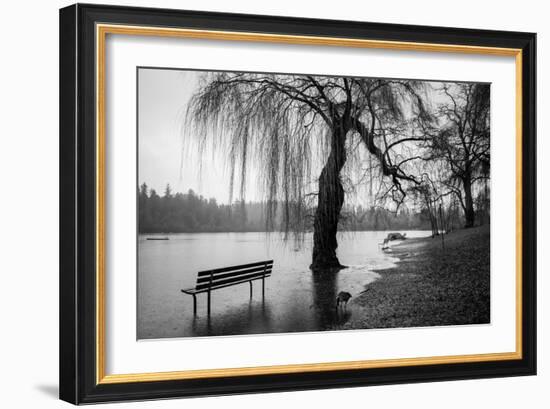 Winter Scene with Goose and Lake-Sharon Wish-Framed Photographic Print