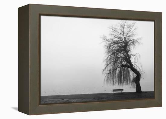 Winter Scene with Lake and Park Bench-Sharon Wish-Framed Premier Image Canvas