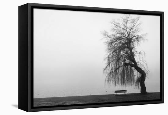 Winter Scene with Lake and Park Bench-Sharon Wish-Framed Premier Image Canvas