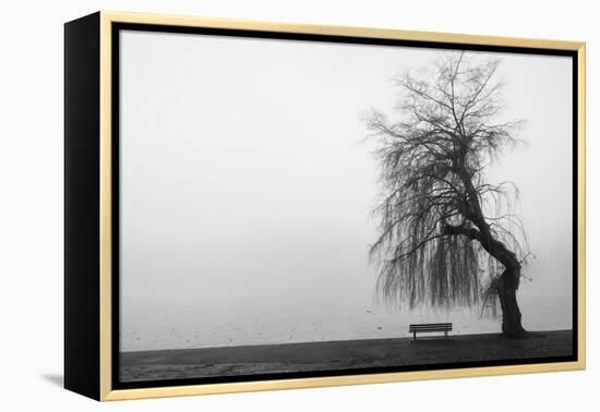 Winter Scene with Lake and Park Bench-Sharon Wish-Framed Premier Image Canvas