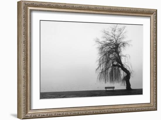 Winter Scene with Lake and Park Bench-Sharon Wish-Framed Photographic Print