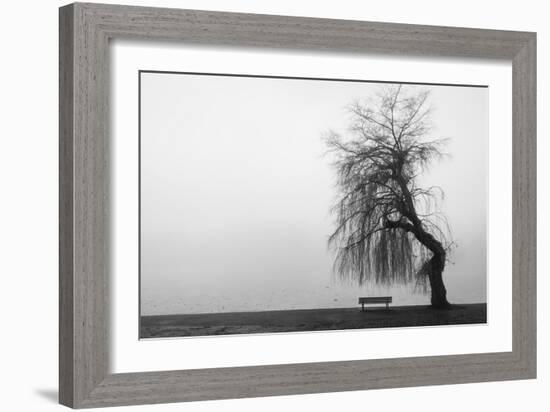 Winter Scene with Lake and Park Bench-Sharon Wish-Framed Photographic Print