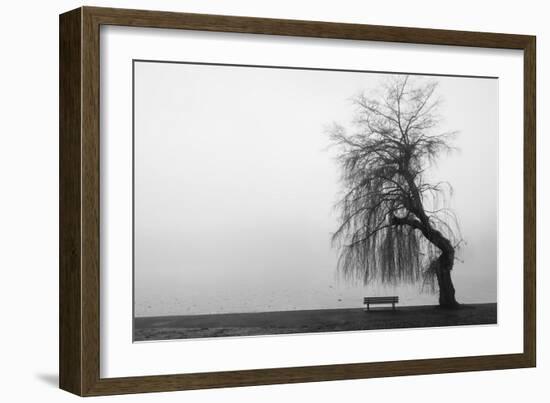 Winter Scene with Lake and Park Bench-Sharon Wish-Framed Photographic Print
