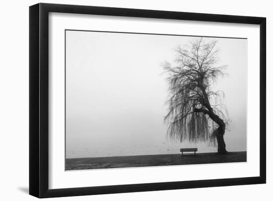 Winter Scene with Lake and Park Bench-Sharon Wish-Framed Photographic Print