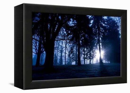 Winter Scene with Low Sunlight Shining Through Trees-Sharon Wish-Framed Premier Image Canvas