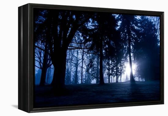 Winter Scene with Low Sunlight Shining Through Trees-Sharon Wish-Framed Premier Image Canvas