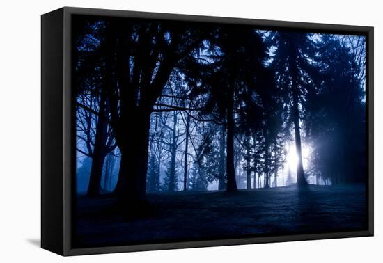 Winter Scene with Low Sunlight Shining Through Trees-Sharon Wish-Framed Premier Image Canvas