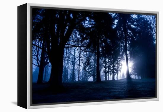 Winter Scene with Low Sunlight Shining Through Trees-Sharon Wish-Framed Premier Image Canvas