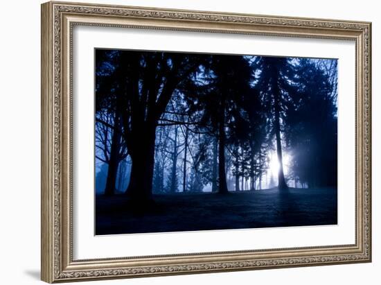 Winter Scene with Low Sunlight Shining Through Trees-Sharon Wish-Framed Photographic Print