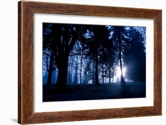 Winter Scene with Low Sunlight Shining Through Trees-Sharon Wish-Framed Photographic Print