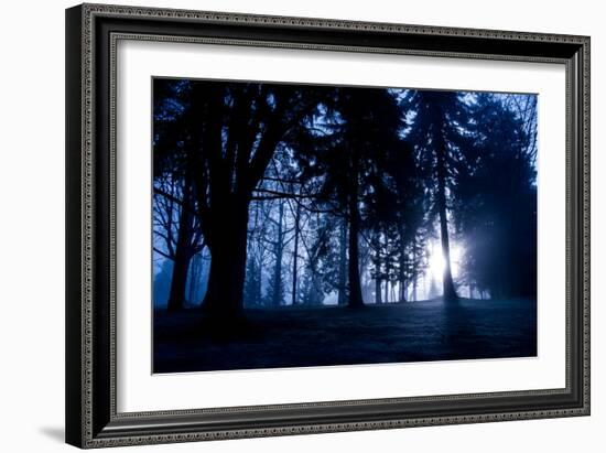 Winter Scene with Low Sunlight Shining Through Trees-Sharon Wish-Framed Photographic Print