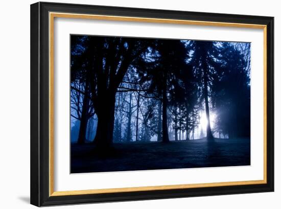 Winter Scene with Low Sunlight Shining Through Trees-Sharon Wish-Framed Photographic Print