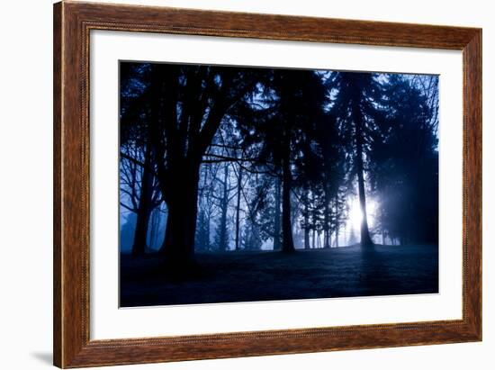 Winter Scene with Low Sunlight Shining Through Trees-Sharon Wish-Framed Photographic Print