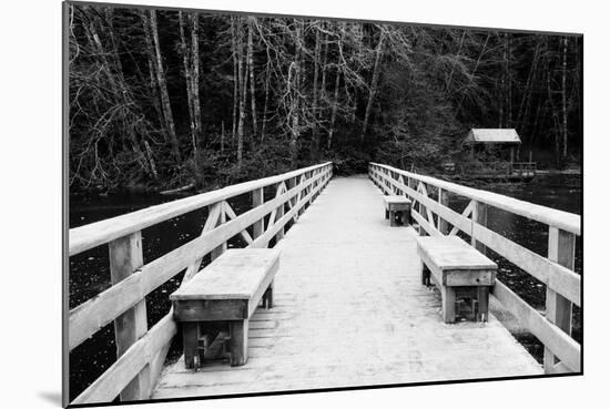 Winter Scene with Wooden Foot Bridge-Sharon Wish-Mounted Photographic Print