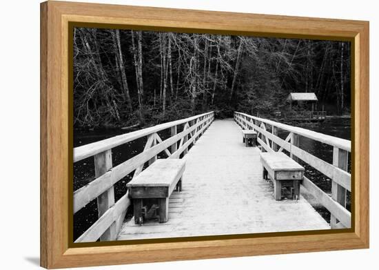 Winter Scene with Wooden Foot Bridge-Sharon Wish-Framed Premier Image Canvas