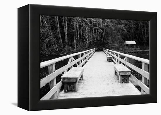 Winter Scene with Wooden Foot Bridge-Sharon Wish-Framed Premier Image Canvas