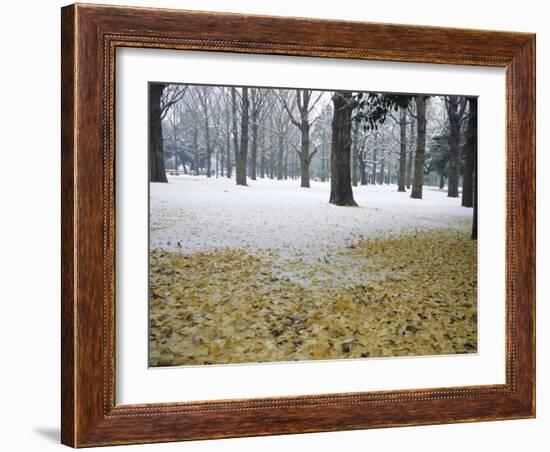 Winter Scene, Yoyogi Koen (Park), Tokyo, Japan-Christian Kober-Framed Photographic Print