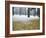 Winter Scene, Yoyogi Koen (Park), Tokyo, Japan-Christian Kober-Framed Photographic Print