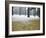 Winter Scene, Yoyogi Koen (Park), Tokyo, Japan-Christian Kober-Framed Photographic Print