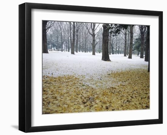 Winter Scene, Yoyogi Koen (Park), Tokyo, Japan-Christian Kober-Framed Photographic Print