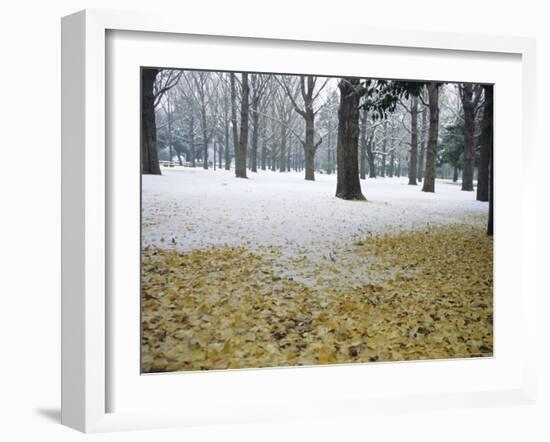 Winter Scene, Yoyogi Koen (Park), Tokyo, Japan-Christian Kober-Framed Photographic Print