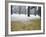 Winter Scene, Yoyogi Koen (Park), Tokyo, Japan-Christian Kober-Framed Photographic Print