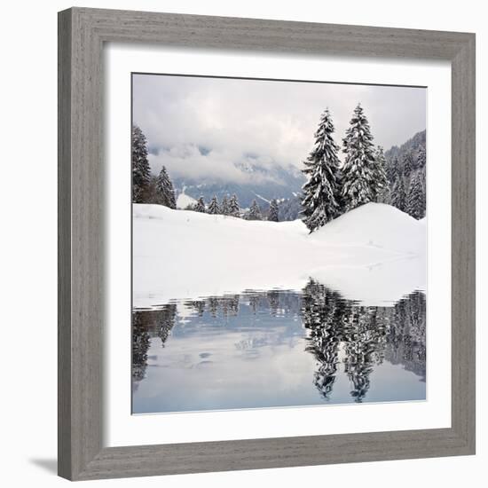 Winter Scene-ajn-Framed Premium Photographic Print