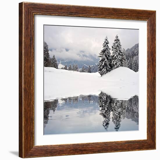 Winter Scene-ajn-Framed Premium Photographic Print