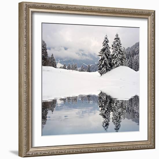 Winter Scene-ajn-Framed Photographic Print