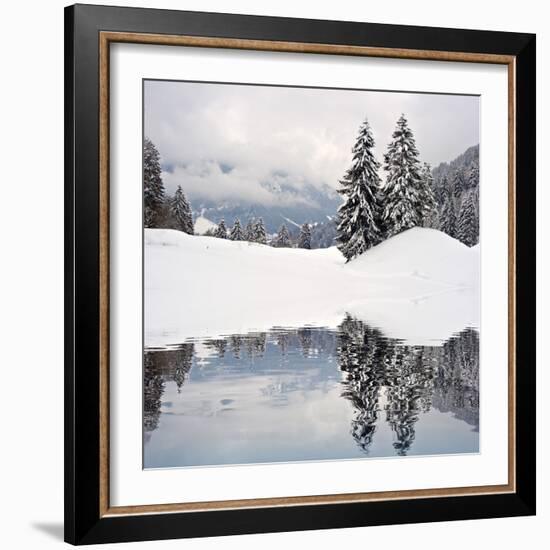 Winter Scene-ajn-Framed Photographic Print