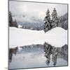 Winter Scene-ajn-Mounted Photographic Print