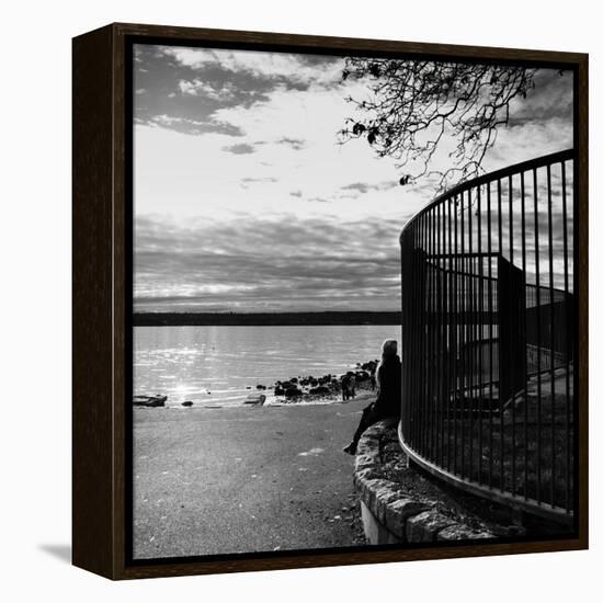 Winter Scene-Sharon Wish-Framed Premier Image Canvas