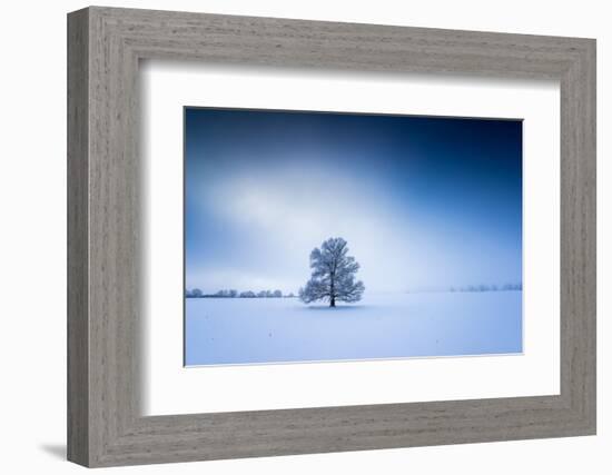Winter Scenery in the Fog, Triebtal, Vogtland, Saxony, Germany-Falk Hermann-Framed Photographic Print