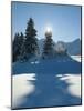 Winter Scenery, Mountains, Sun, Back Lightd2-Thonig-Mounted Photographic Print