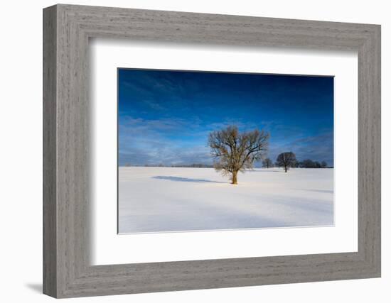 Winter Scenery, Triebtal, Vogtland, Saxony, Germany-Falk Hermann-Framed Photographic Print