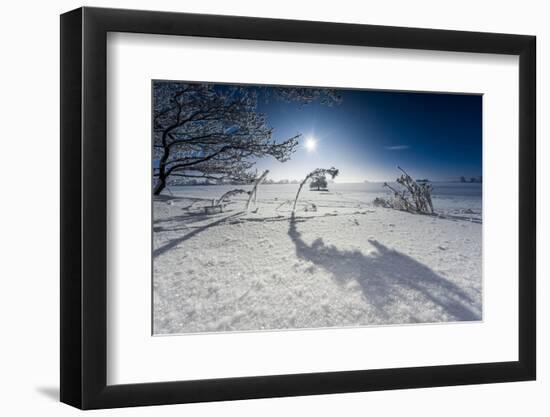 Winter Scenery with Bright Sunshine, Triebtal, Vogtland, Saxony, Germany-Falk Hermann-Framed Photographic Print