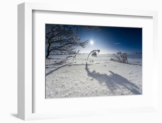 Winter Scenery with Bright Sunshine, Triebtal, Vogtland, Saxony, Germany-Falk Hermann-Framed Photographic Print