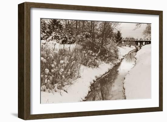 Winter Scenic II-Dana Styber-Framed Photographic Print